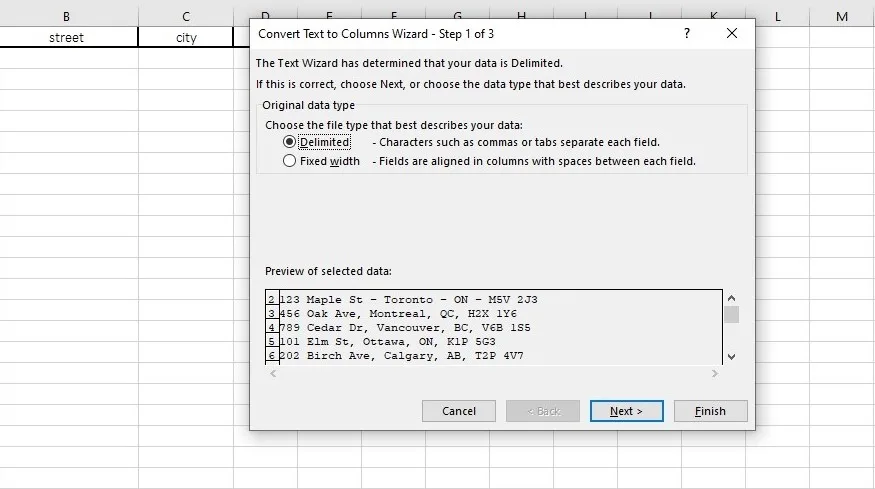 delimited option in text to columns