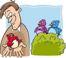 A Bird in the Hand is Worth Two in the Bush