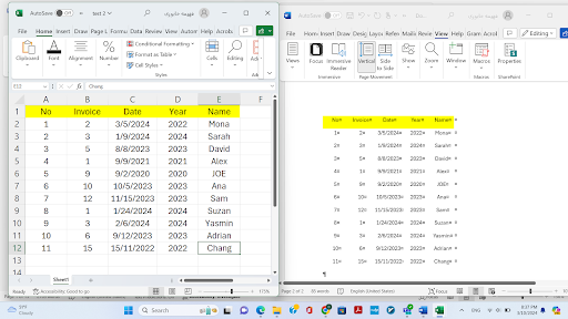 Excel Data Integration for MS Word Macros