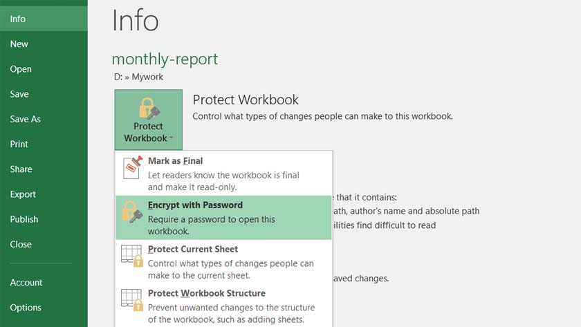 Password protecting Excel spreadsheet